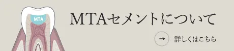 MTAセメントについて