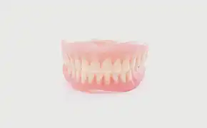BPSデンチャー